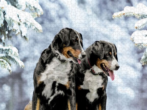 Produktbild: CALVENDO Puzzle Winterzeit | 1000 Teile Lege-Gr&ouml;&szlig;e 64x48cm Foto-Puzzle f&uuml;r gl&uuml;ckliche Stunden