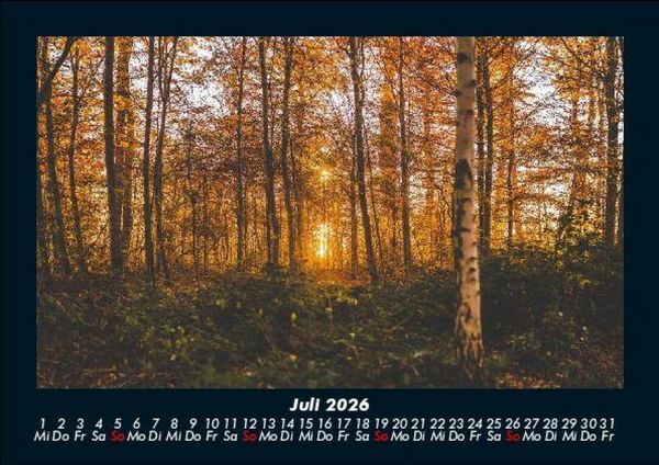 Produktbild: Waldzauber 2026 Fotokalender DIN A5