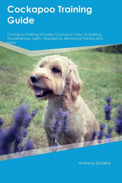 Produktbild: Cockapoo Training Guide Cockapoo Training Includes
