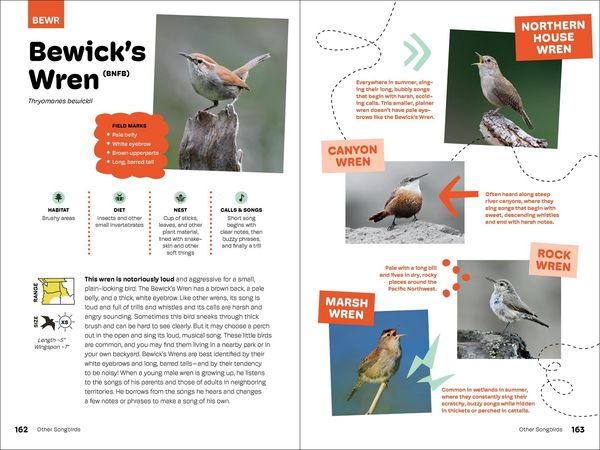 Produktbild: Birds of the Pacific Northwest for Kids