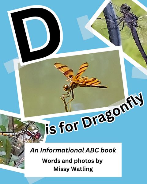 Produktbild: D is for Dragonfly: An Informational ABC Book