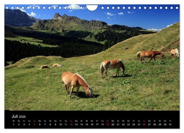 Produktbild: Alpe di Siusi - Seiser Alm (Wandkalender 2026 DIN A4 quer), CALVENDO Monatskalender