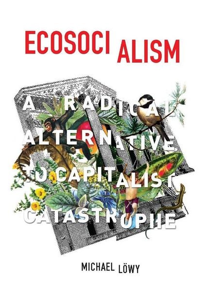 Produktbild: Ecosocialism