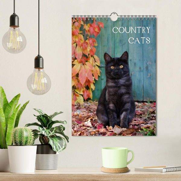 Produktbild: COUNTRY CATS (Wandkalender 2026 DIN A4 hoch), CALVENDO Monatskalender