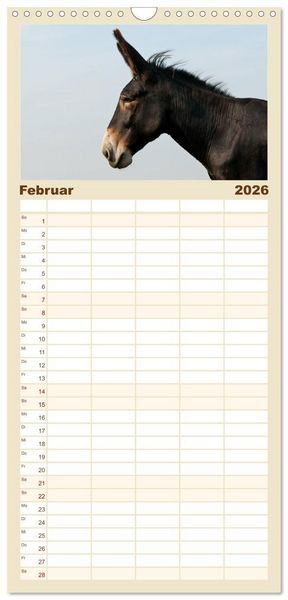 Produktbild: Familienplaner 2026 - Esel - Sixtus Loreley mit 5 Spalten (Wandkalender, 21 x 45 cm) CALVENDO