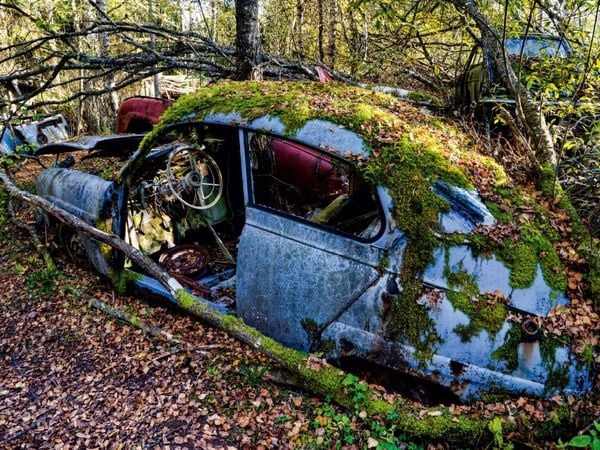 Produktbild: CALVENDO Puzzle Der Blaue | 1000 Teile Lege-Gr&ouml;&szlig;e 64x48cm Foto-Puzzle f&uuml;r gl&uuml;ckliche Stunden