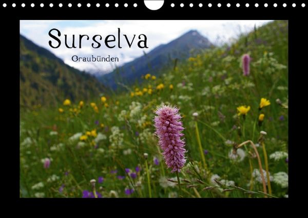 Produktbild: Surselva - Graub&uuml;nden (Wandkalender immerw&auml;hrend DIN A4 quer)