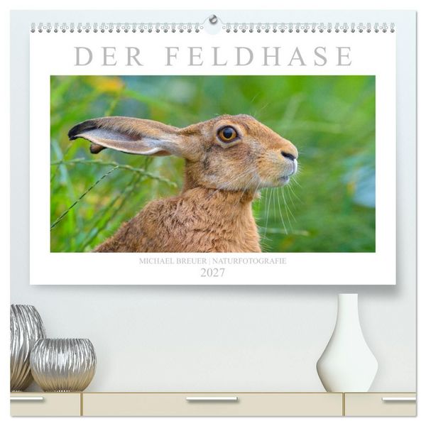 Produktbild: Der Feldhase (hochwertiger Premium Wandkalender 2027 DIN A2 quer), Kunstdruck in Hochglanz