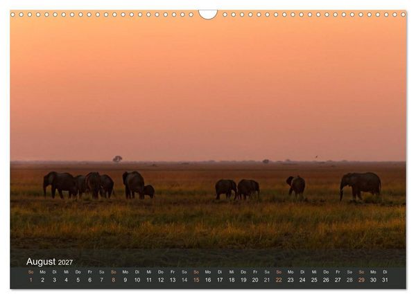 Produktbild: Elefanten (Wandkalender 2027 DIN A3 quer), CALVENDO Monatskalender