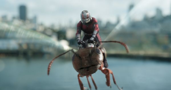 Produktbild: Ant-Man and the Wasp (4K Ultra HD) (+ Blu-ray 2D)