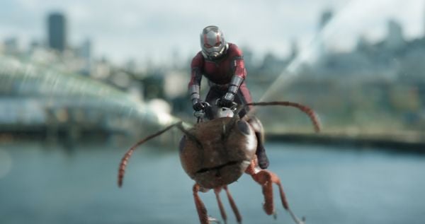 Produktbild: Ant-Man and the Wasp