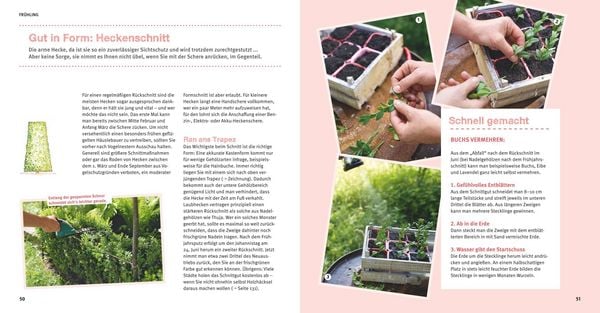 Produktbild: Garten Basics
