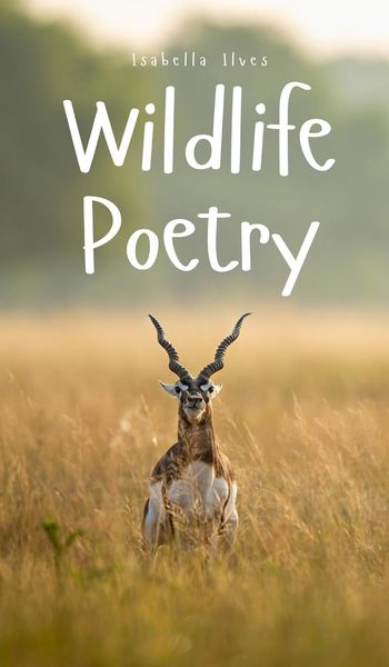 Produktbild: Wildlife Poetry