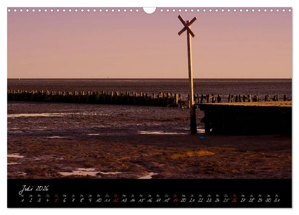 Produktbild: Friedrichskoog Buhnen und Salzwiesen (Wandkalender 2026 DIN A3 quer), CALVENDO Monatskalender