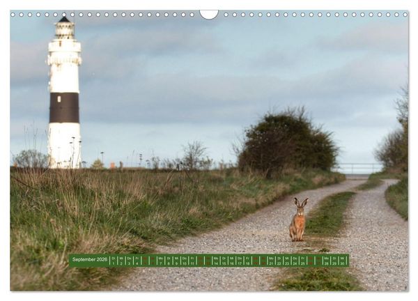 Produktbild: Ein Tag am Meer - Impressionen von der Insel Sylt (Wandkalender 2026 DIN A3 quer), CALVENDO Monatskalender