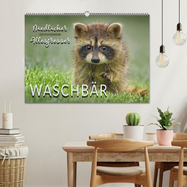 Produktbild: Waschb&auml;r - Niedlicher Allesfresser (Wandkalender 2026 DIN A2 quer), CALVENDO Monatskalender