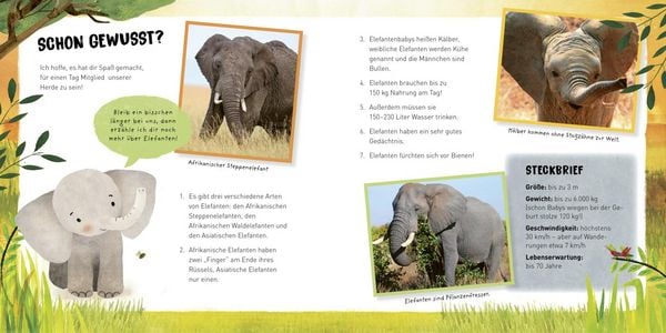 Produktbild: Kleine Tiere werden gro&szlig; - Der Elefant