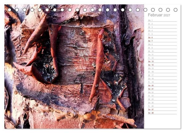 Produktbild: Abstrakte Umwelt (Tischkalender 2027 DIN A5 quer), CALVENDO Monatskalender