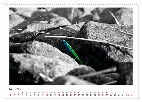 Produktbild: Gestrandet -Treibgut- (hochwertiger Premium Wandkalender 2026 DIN A2 quer), Kunstdruck in Hochglanz