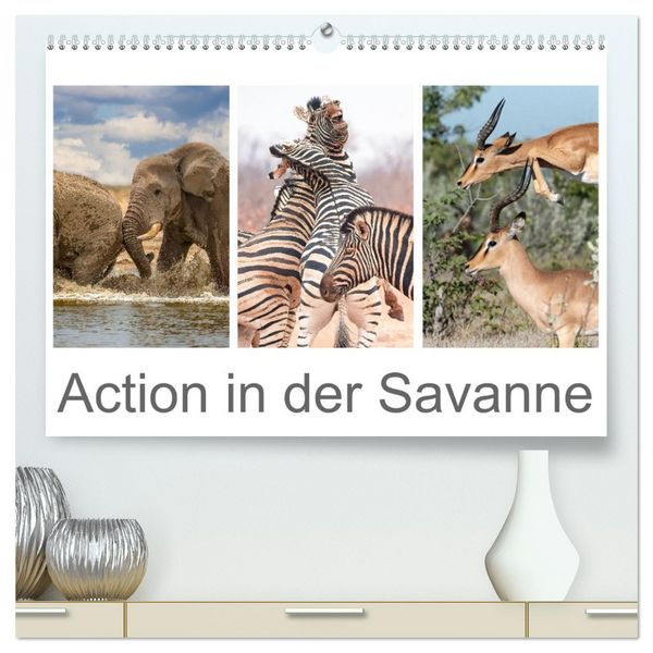 Action in der Savanne (hochwertiger Premium Wandkalender 2026 DIN A2 quer), Kunstdruck in Hochglanz