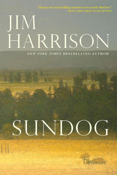 Produktbild: Sundog