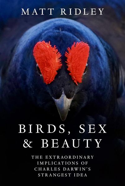 Produktbild: BIRDS SEX & BEAUTY EXAIIE PB