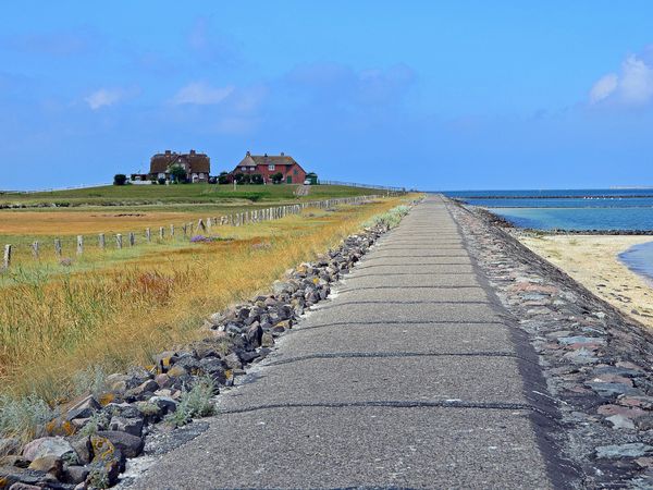 Produktbild: CALVENDO Puzzle Hallig Hooge 1000 Teile Lege-Gr&ouml;&szlig;e 64 x 48 cm Foto-Puzzle Bild von Sarnade