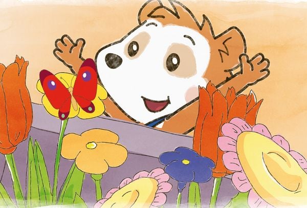 Produktbild: Bobo Siebenschl&auml;fer, Puzzle-Box, 2x26, 2x48 Teile im Metallkoffer