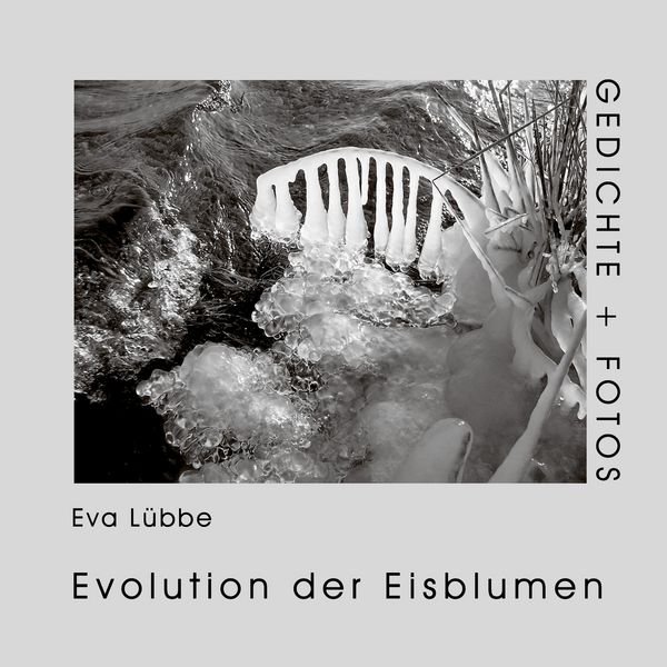 Produktbild: Evolution der Eisblumen