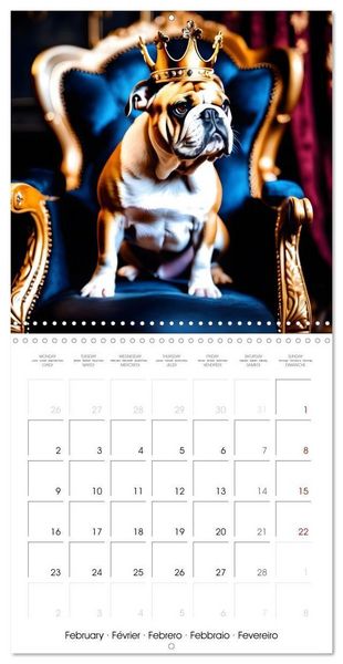 Produktbild: Kleemann, C: Dogs with matching hats (Wall Calendar 2026 12