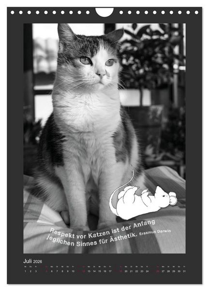 Produktbild: Katz & Maus (Wandkalender 2026 DIN A4 hoch), CALVENDO Monatskalender