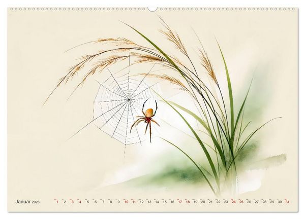 Produktbild: Zen der Natur - Pflanzen und Insekten im Stile der Tuschmalerei (hochwertiger Premium Wandkalender 2026 DIN A2 quer), Kunstdruck in Hochglanz