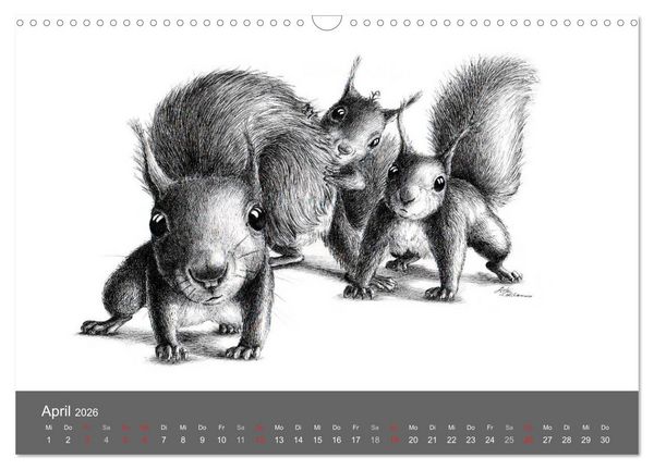 Produktbild: owls & friends 2026 (Wandkalender 2026 DIN A3 quer), CALVENDO Monatskalender