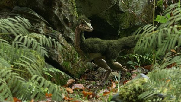 Planet Deutschland - 300 Millionen Jahre