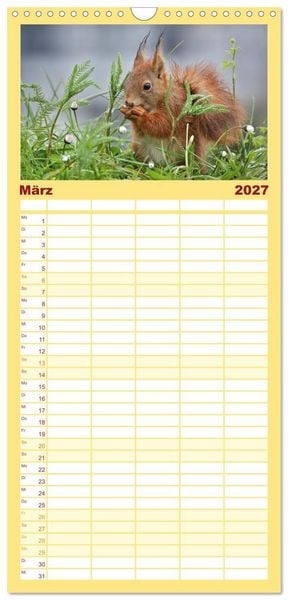Produktbild: Familienplaner 2027 - Eichh&ouml;rnchen in zauberhaften Posen mit 5 Spalten (Wandkalender, 21 x 45 cm) CALVENDO
