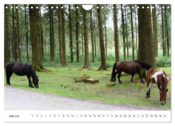 Produktbild: Charming - Mystic Devon Dartmoor, South England (Wall Calendar 2026 DIN A4 landscape), CALVENDO 12 Month Wall Calendar