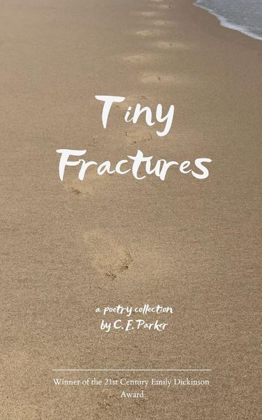 Produktbild: Tiny Fractures