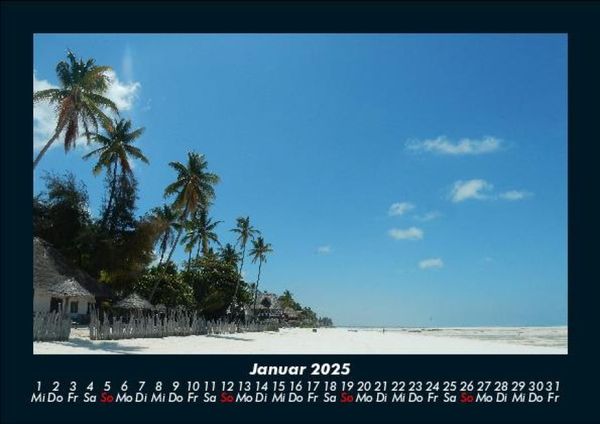 Produktbild: Palmentraum 2025 Fotokalender DIN A5