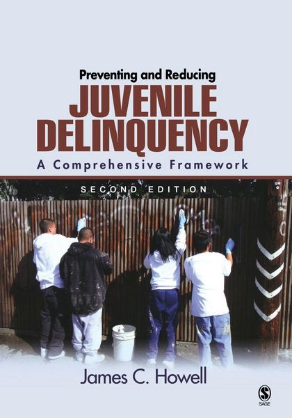Produktbild: Preventing and Reducing Juvenile Delinquency