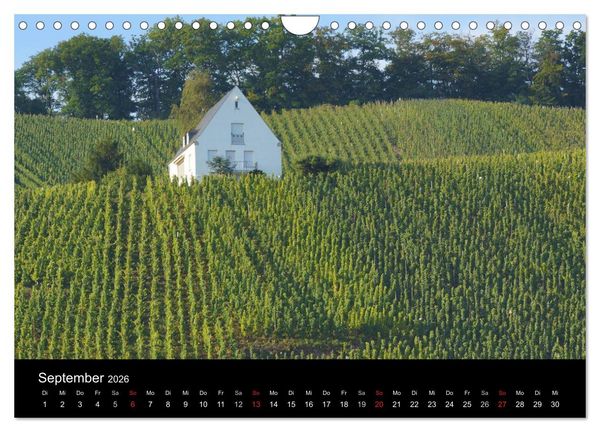Produktbild: Sch&ouml;ne Mosel (Wandkalender 2026 DIN A4 quer), CALVENDO Monatskalender