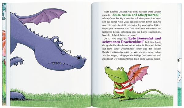 Produktbild: Der kleine Raubdrache (Bd. 1)