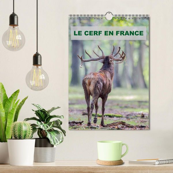 Produktbild: LE CERF EN FRANCE (Calendrier mural 2026 DIN A4 horizontal), CALVENDO calendrier mensuel