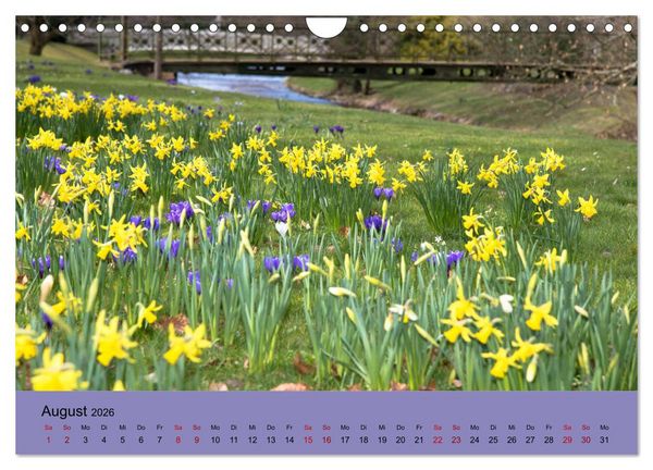 Produktbild: Kurpark Baden-Baden (Wandkalender 2026 DIN A4 quer), CALVENDO Monatskalender