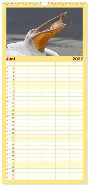 Produktbild: Familienplaner 2027 - Krauskopfpelikane mit 5 Spalten (Wandkalender, 21 x 45 cm) CALVENDO