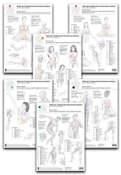 Produktbild: Set von 6 Tafeln der Traditionellen Chinesischen Medizin