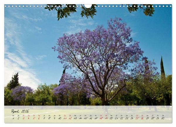 Produktbild: Mexiko - Bunte Vielfalt in Stadt und Land (Wandkalender 2026 DIN A3 quer), CALVENDO Monatskalender
