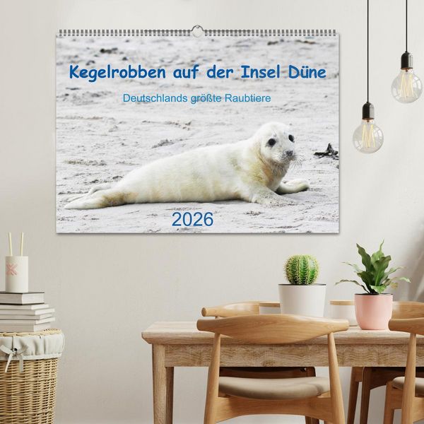 Produktbild: Kegelrobben auf der Insel D&uuml;ne (Wandkalender 2026 DIN A2 quer), CALVENDO Monatskalender
