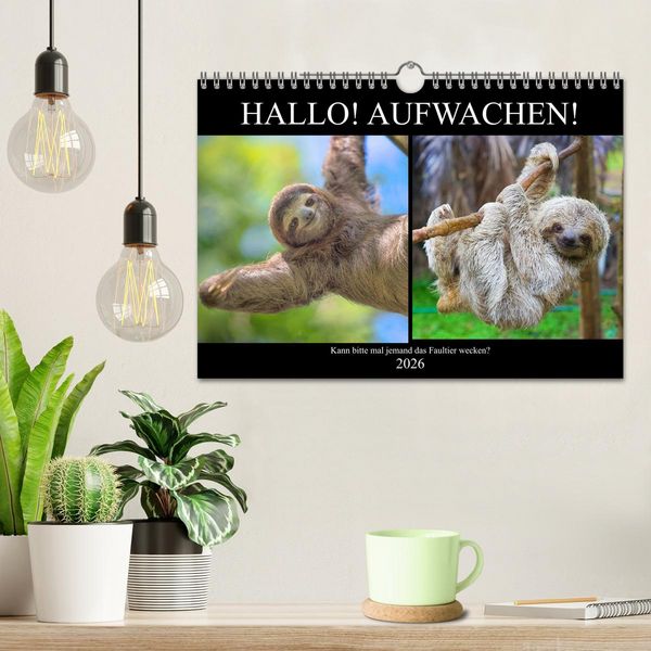 Produktbild: Hallo! Aufwachen! Kann bitte mal jemand das Faultier wecken? (Wandkalender 2026 DIN A4 quer), CALVENDO Monatskalender