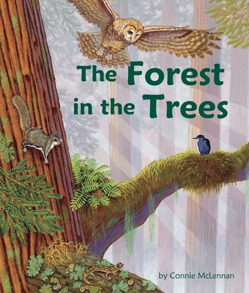 Produktbild: The Forest in the Trees