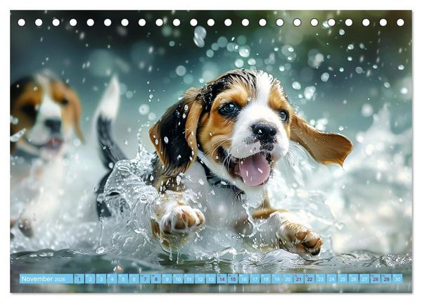 Produktbild: Hunde und Wasser (Tischkalender 2026 DIN A5 quer), CALVENDO Monatskalender